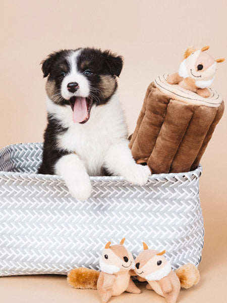 zippy-paws-peluche-pour-chien-ecureuil