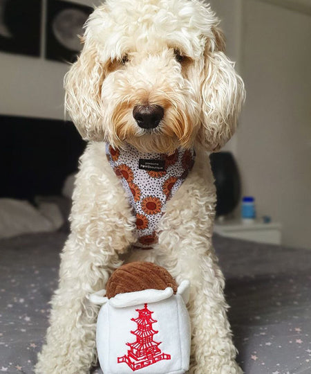 zippy-paws-peluche-pour-chien-noodles