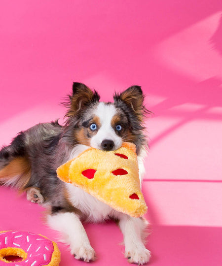zippy-paws-peluche-pour-berger-australien-chien-pizza