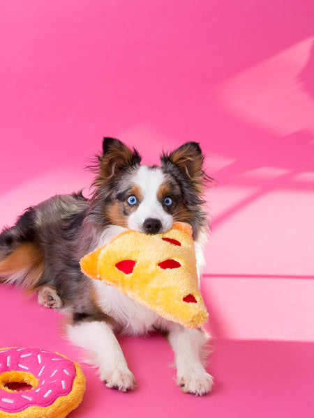 zippy-paws-peluche-pour-berger-australien-chien-pizza