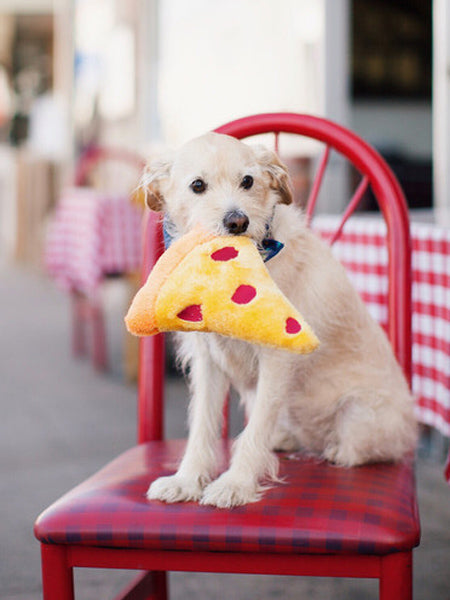 zippy-paws-peluche-pour-chien-pizza