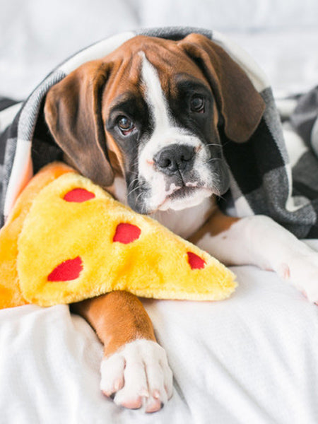 zippy-paws-peluche-pour-chien-pizza-boxer