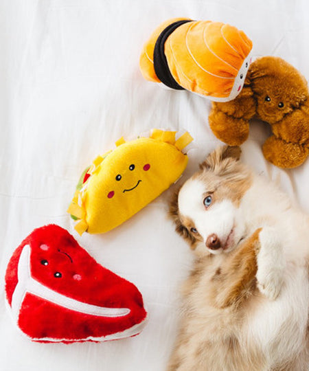 zippy-paws-peluche-pour-chien-sushi